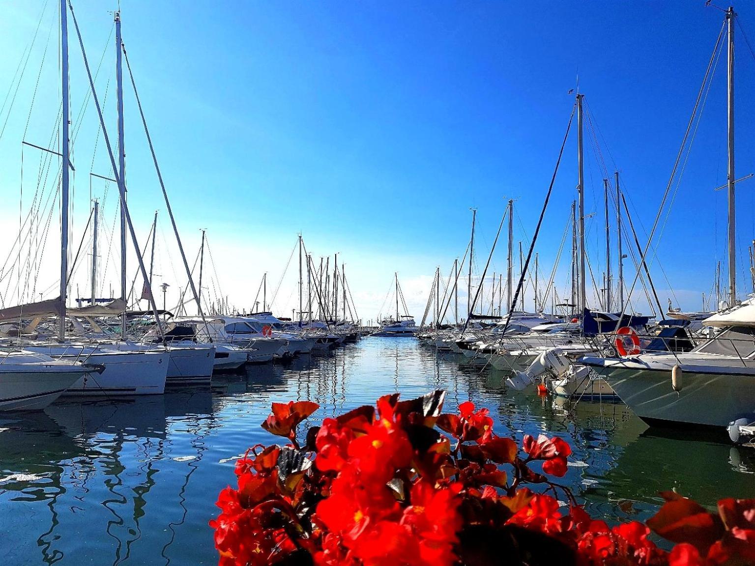 Studio T1- 2 Min Des Plages - Golf-Juan - Clim&Wifi 瓦洛里 外观 照片